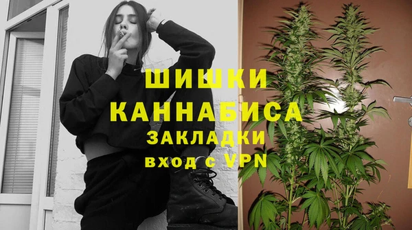 хмурый Нягань