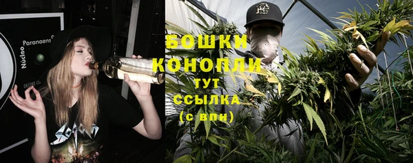 Альфа ПВП Новозыбков
