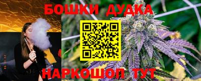 PSILOCYBIN Гусь-Хрустальный